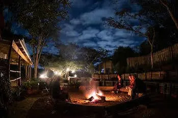 Hotel The Hilton Bush 3*