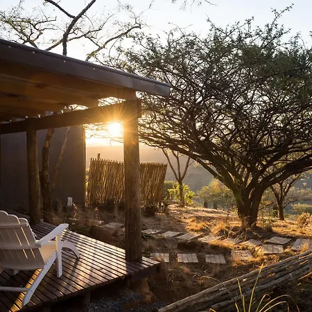 The Hilton Bush